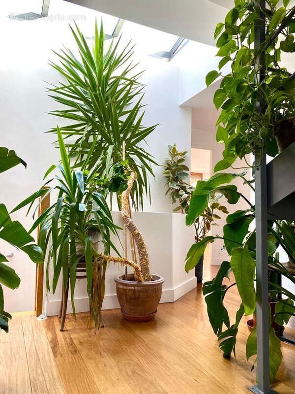 Commerce à BAGNOLET