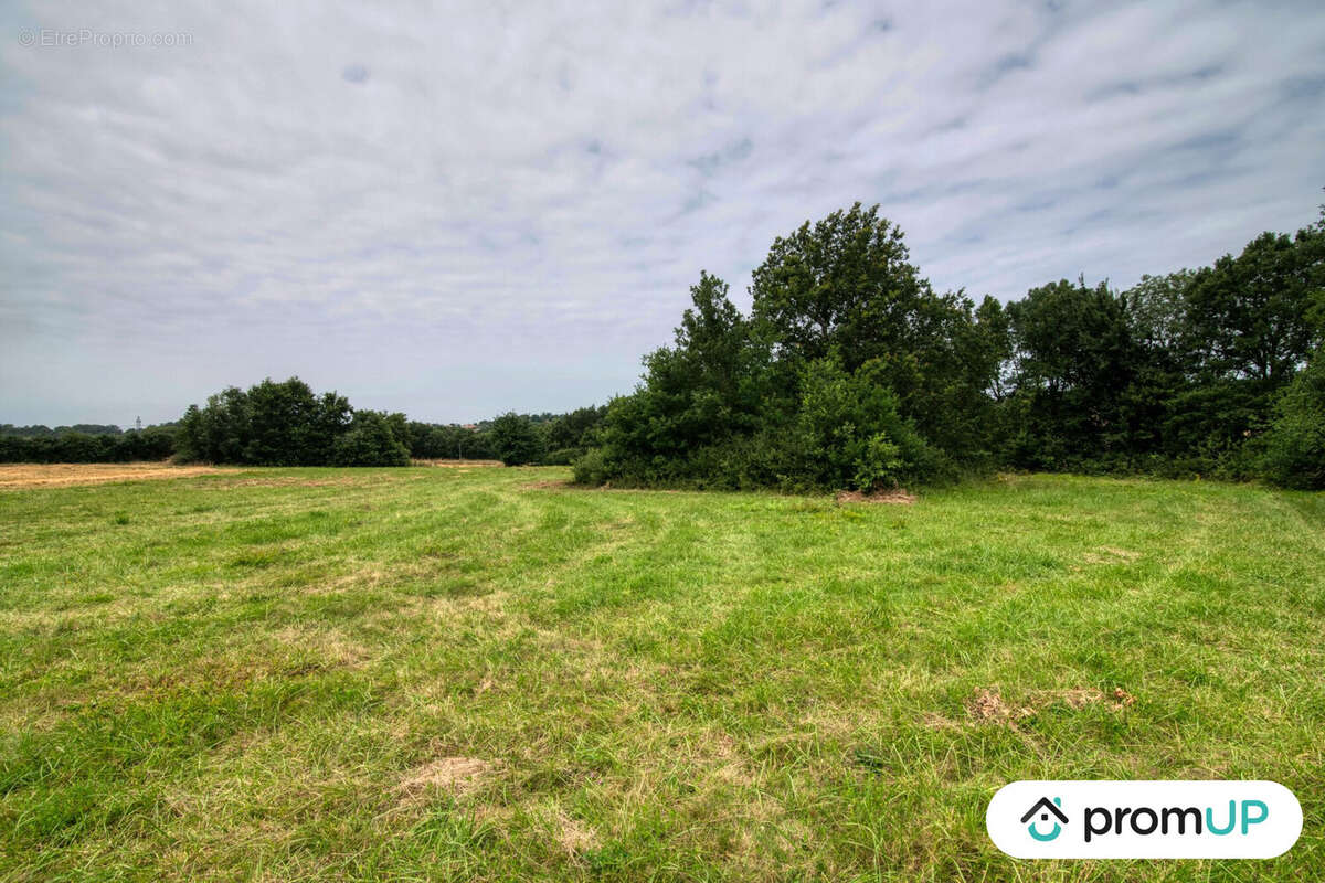 Terrain à MONS