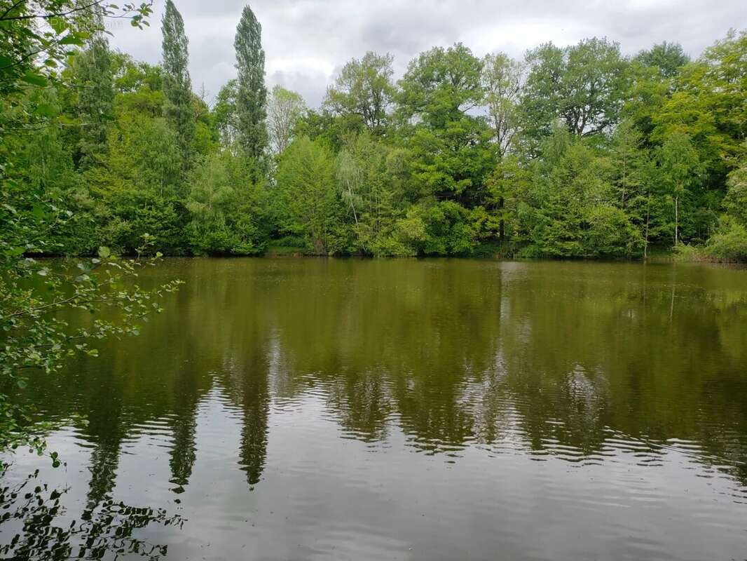 Terrain à ORADOUR-SUR-VAYRES