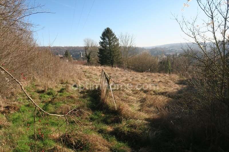 Beau terrain de 30 ares - photo 5