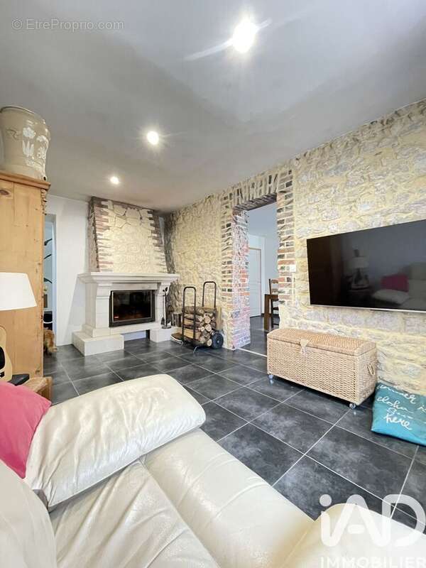 Photo 4 - Maison à OUZOUER-LE-DOYEN