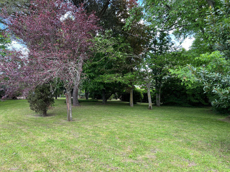 Dpt Haute Garonne (31), à vendre proche de TOULOUSE maison P9 - photo 22