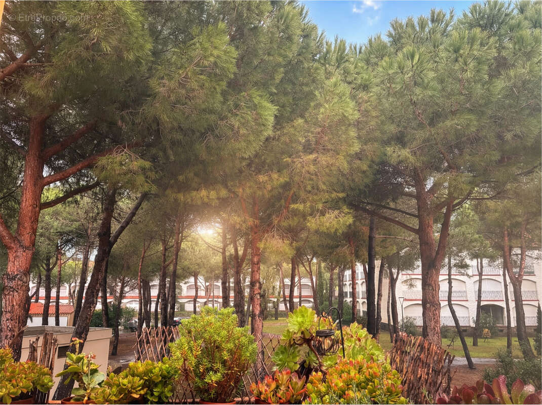 Appartement à ARGELES-SUR-MER