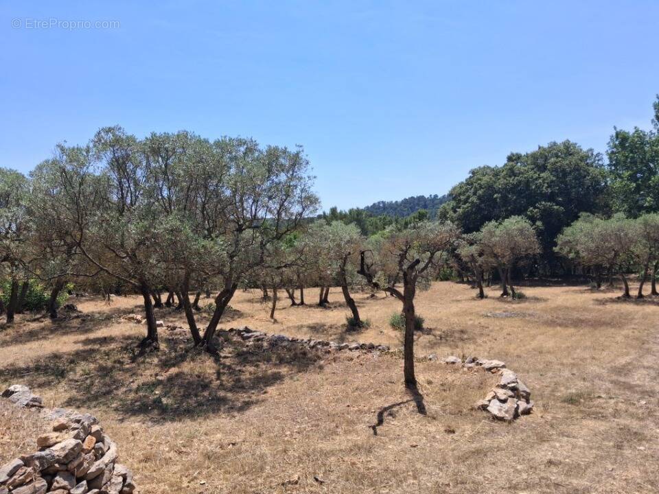 Terrain à VARAGES