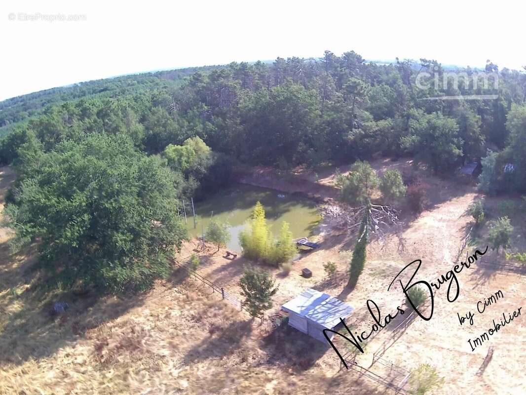 En exclusivité – Ensemble immobilier avec deux habitations, étang et près d’un hectare de terrain - photo 6