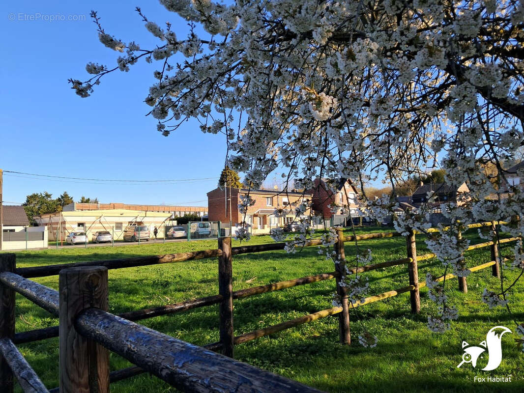 Terrain à WALINCOURT-SELVIGNY