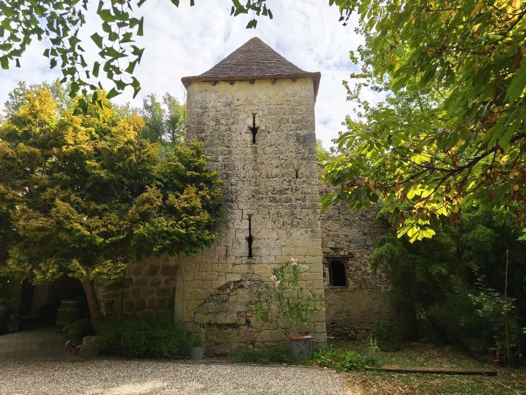 Charmant moulin à eau du 13ème proche de Tonneins et de Clairac - photo 14