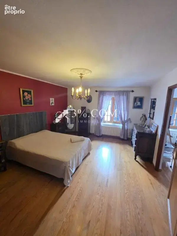 Spacieuse Maison Familiale de 340 m2 à Damelevieres (54360) - photo 23