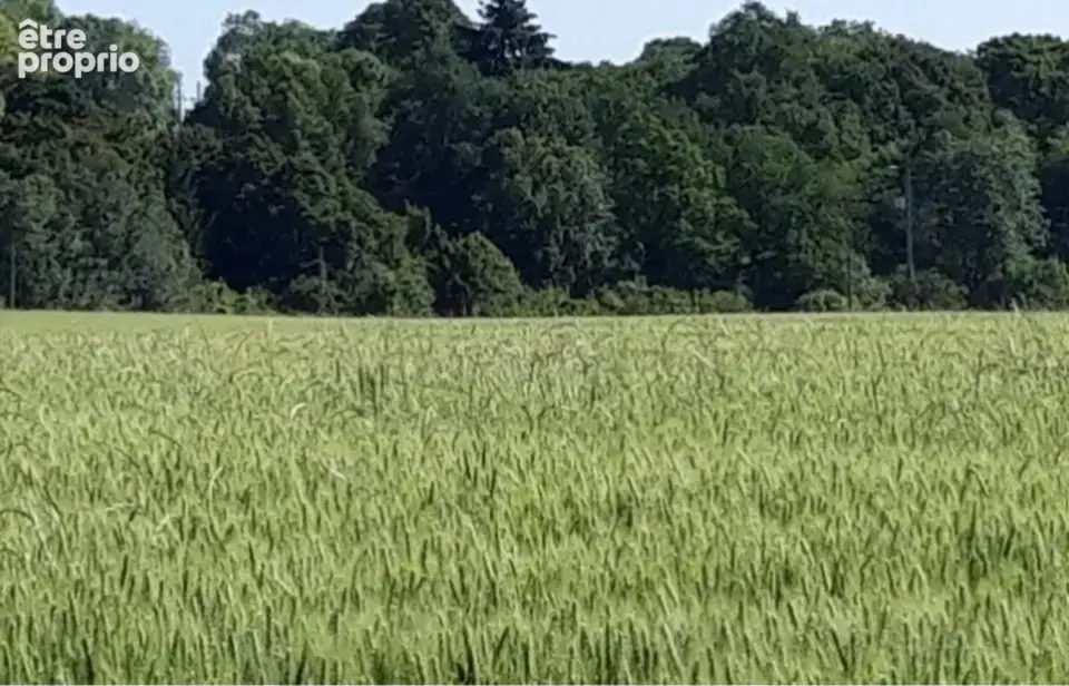 Terrain 359 m² à vendre à Boullay-Les-Troux (91470) - photo 3