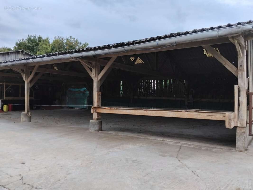 Propriété Corps de Ferme, 3 batisses en pierre, Batiments agricoles, gite & habitation de Qualité, proche LE PERCHE, ALENCON, 2h - photo 8