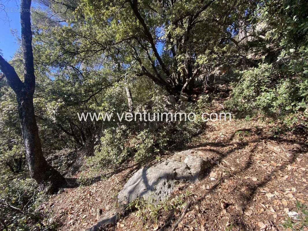 Terrain à SAINT-CEZAIRE-SUR-SIAGNE