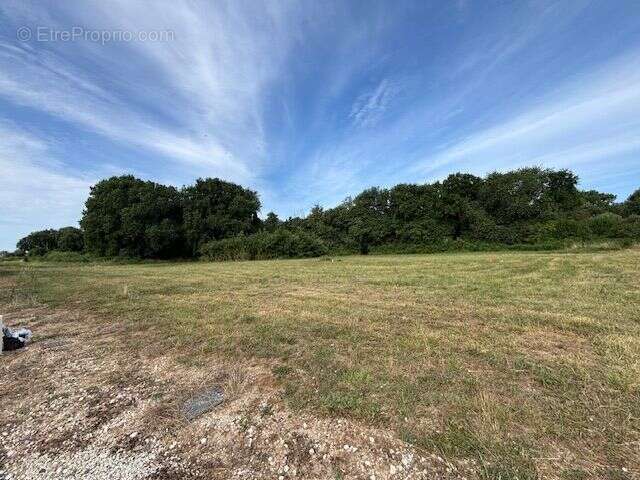 Terrain à SAINT-PALAIS-SUR-MER