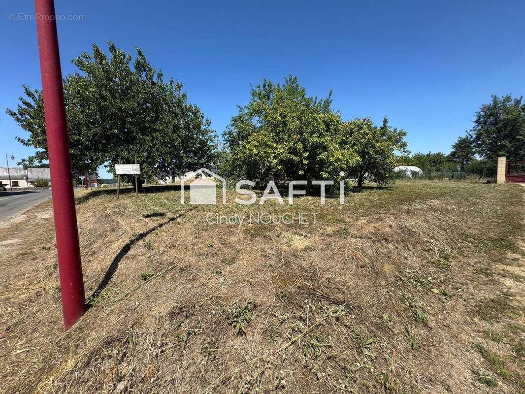 Photo 6 - Terrain à MANSIGNE