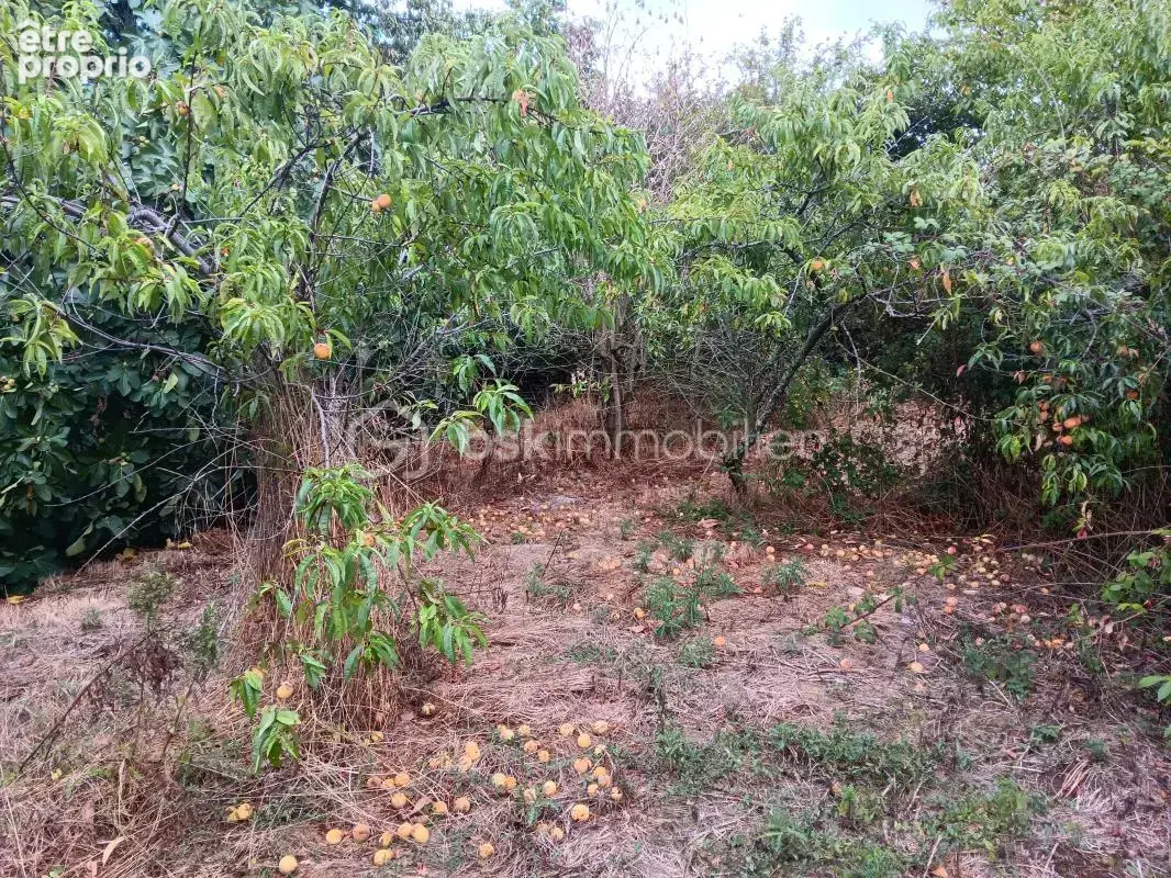  Longère de 195 m² + 185 m² de dépendances – Terrain 2 783 m² - photo 25