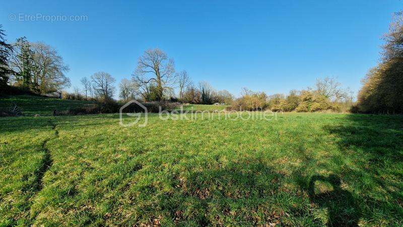 Maison à LA MEAUFFE