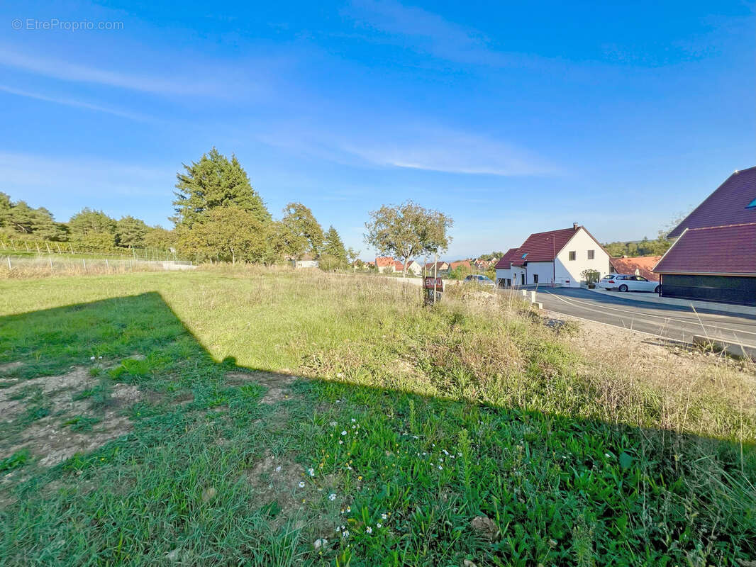 Terrain à ROSENWILLER