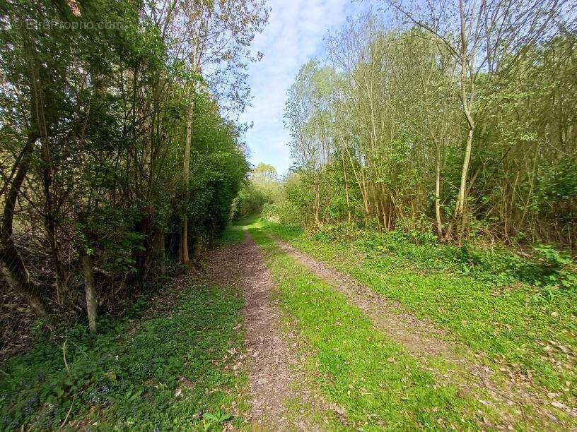 Terrain 31288 m² à Amiens  - photo 4