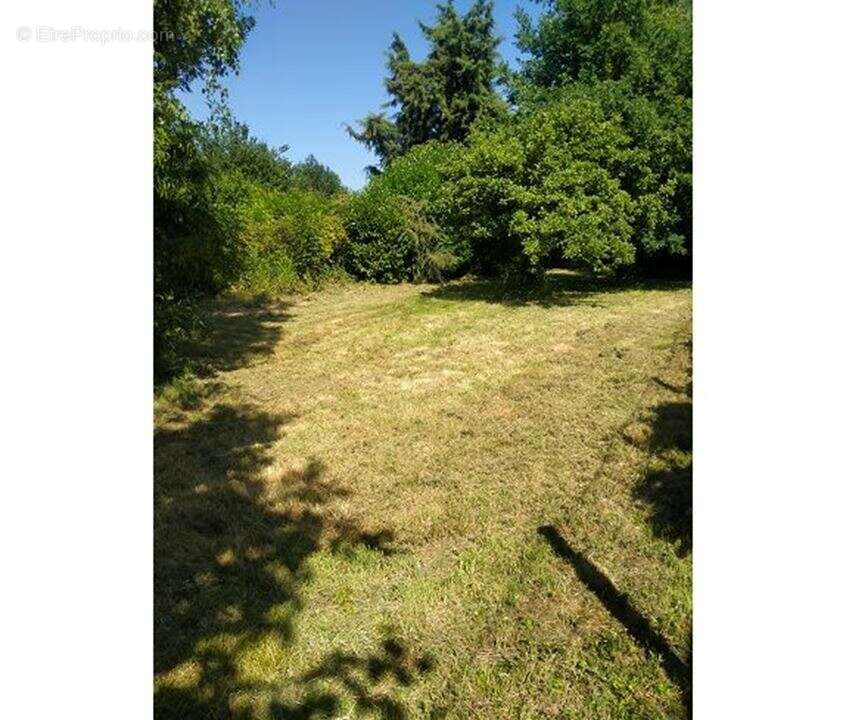 Maison à MORSANG-SUR-ORGE