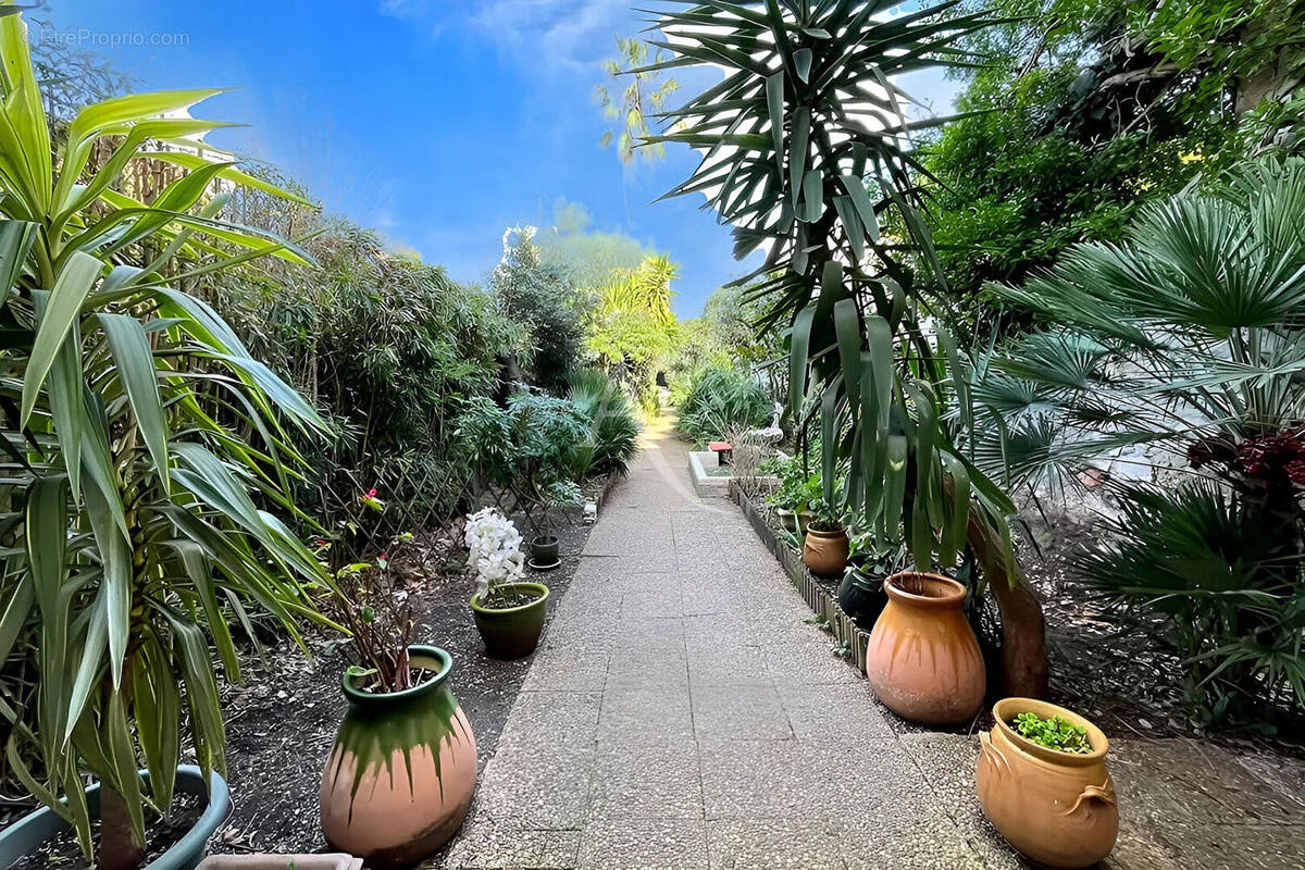 Maison à FRONTIGNAN