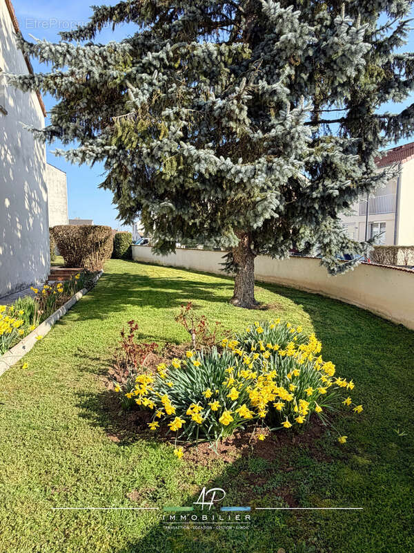 Maison à SAINT-APOLLINAIRE