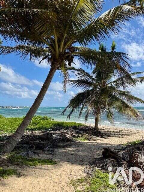 Photo 9 - Appartement à SAINT-FRANCOIS