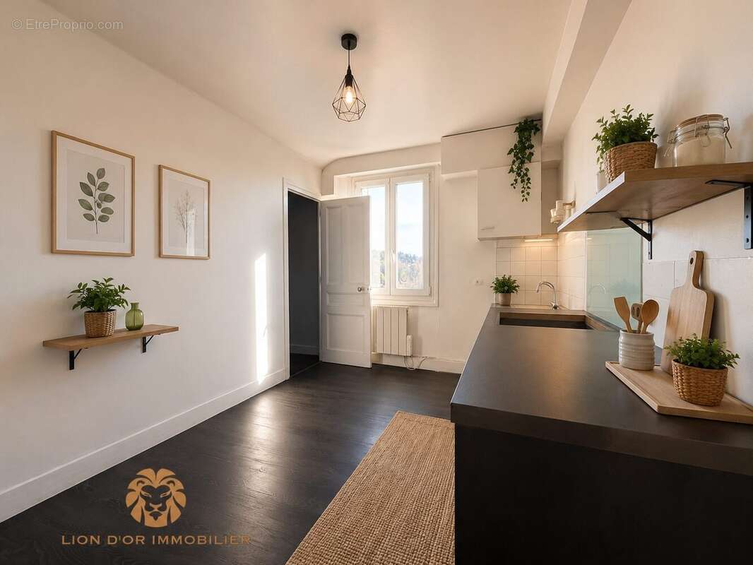 Appartement à NEUVILLE-SUR-SAONE