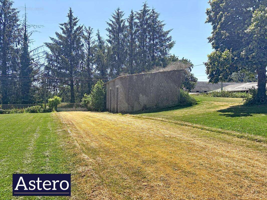 Ensemble immobilier- trois maisons-langonnet-calme - photo 5