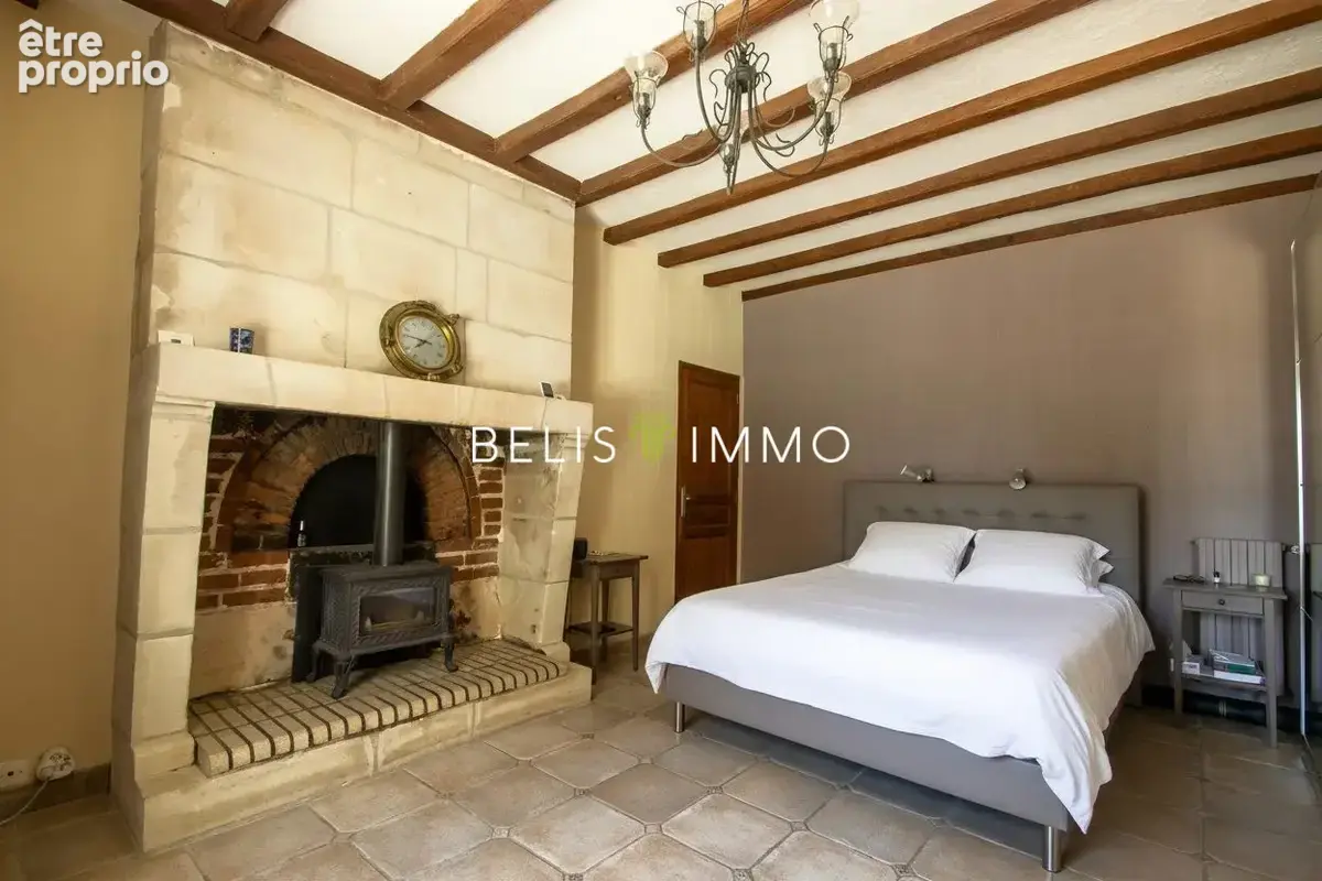 Maison 265 m² à Athee-Sur-Cher  - photo 8