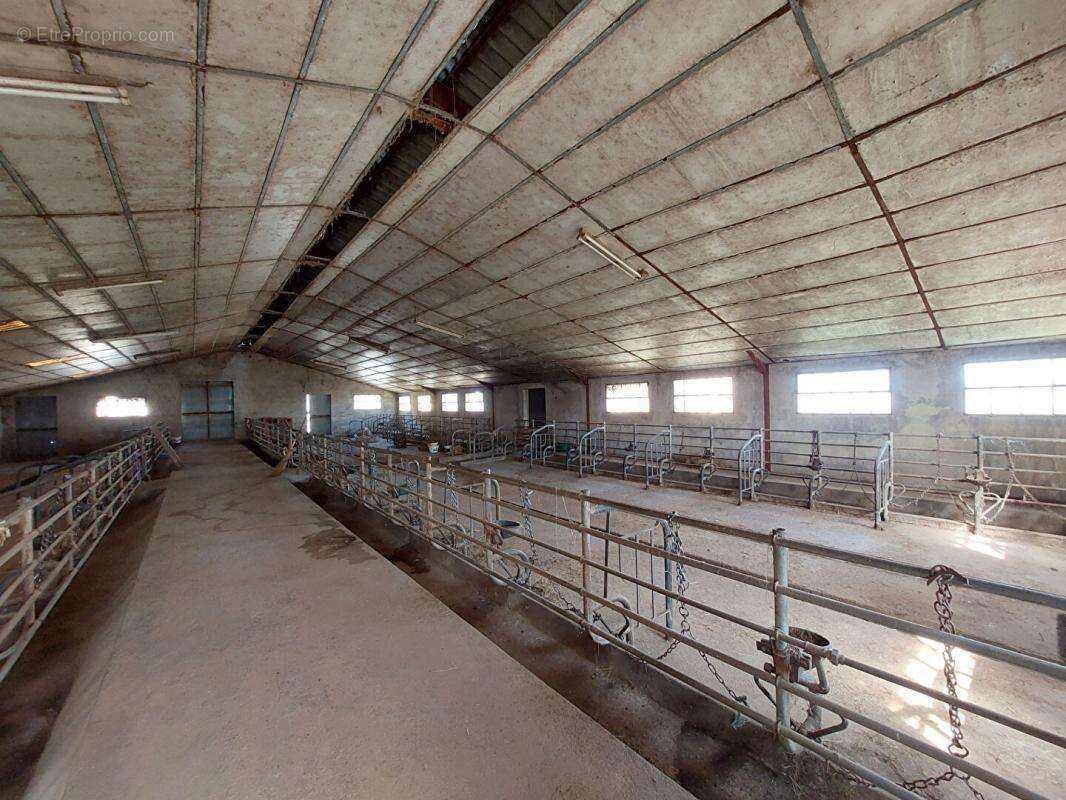 Ferme Grury 5 pièce(s) 131 m2 - photo 9