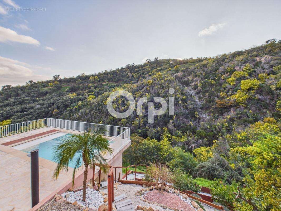 Maison à MANDELIEU-LA-NAPOULE