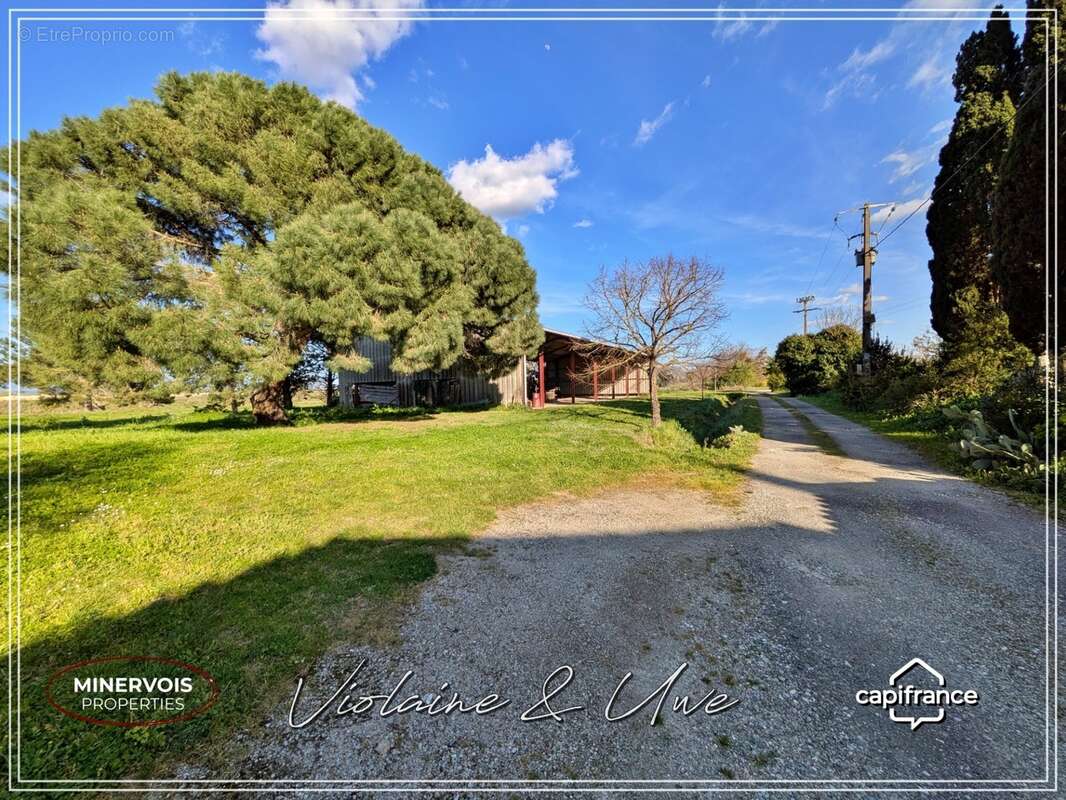 Domaine d'exception du XVIIIᵉ siècle – 625 m² habitables – 3,8 hectares – Un lieu unique au cœur du Lauragais - photo 4