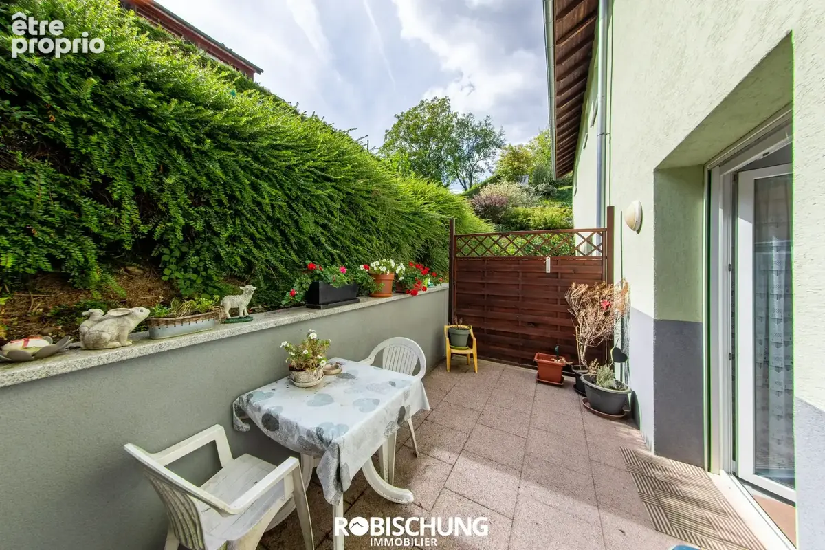 PROCHE HIRSINGUE : Magnifique ensemble immobilier avec fort potentiel locatif - photo 13