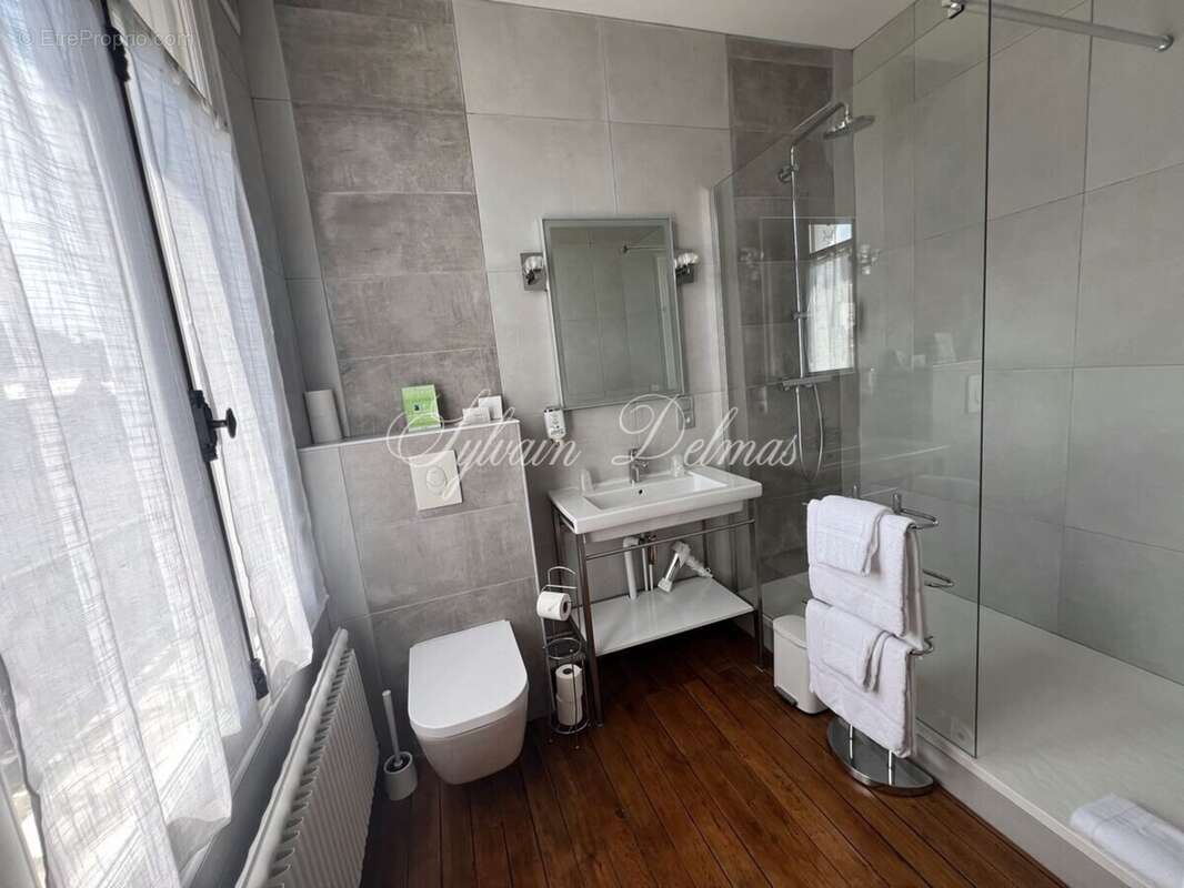 Propriete à vendre 32 pièces AMBOISE (37) - photo 22