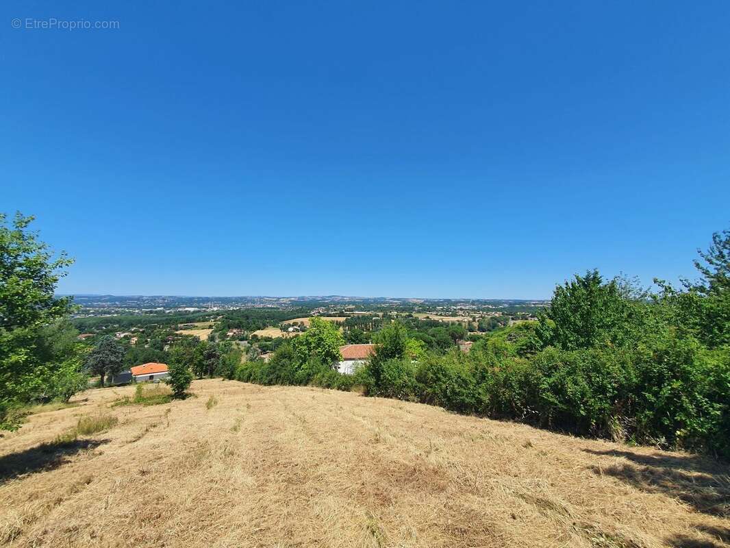 Photo 2 - Terrain à ALBI