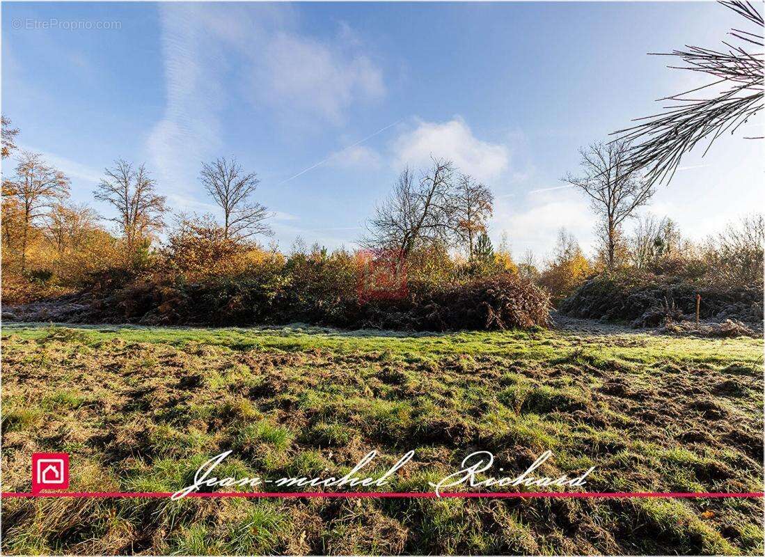 Terrain à COURMEMIN