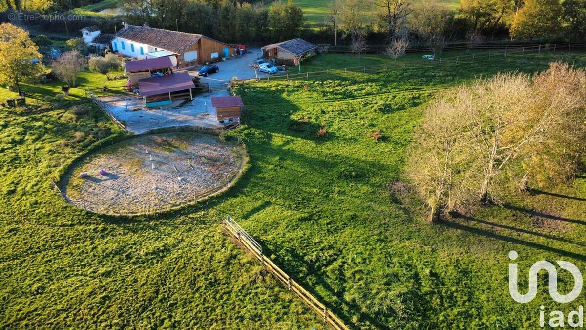 Photo 2 - Maison à MONTGAILLARD