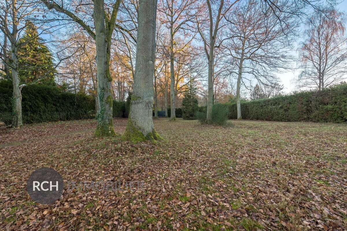 Terrain à GROSROUVRE