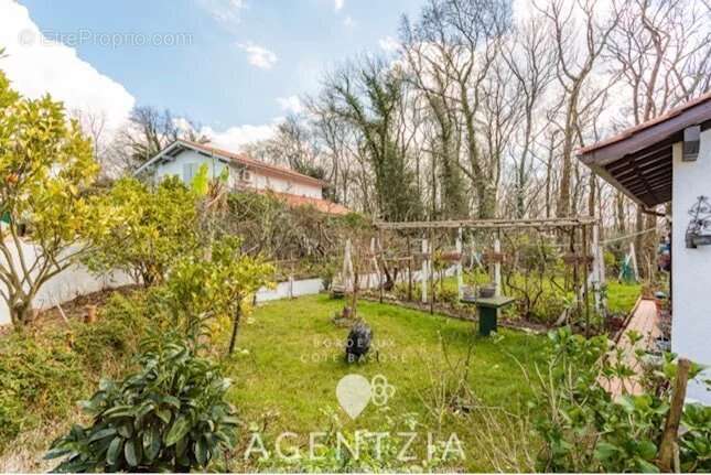 Maison à BASSUSSARRY