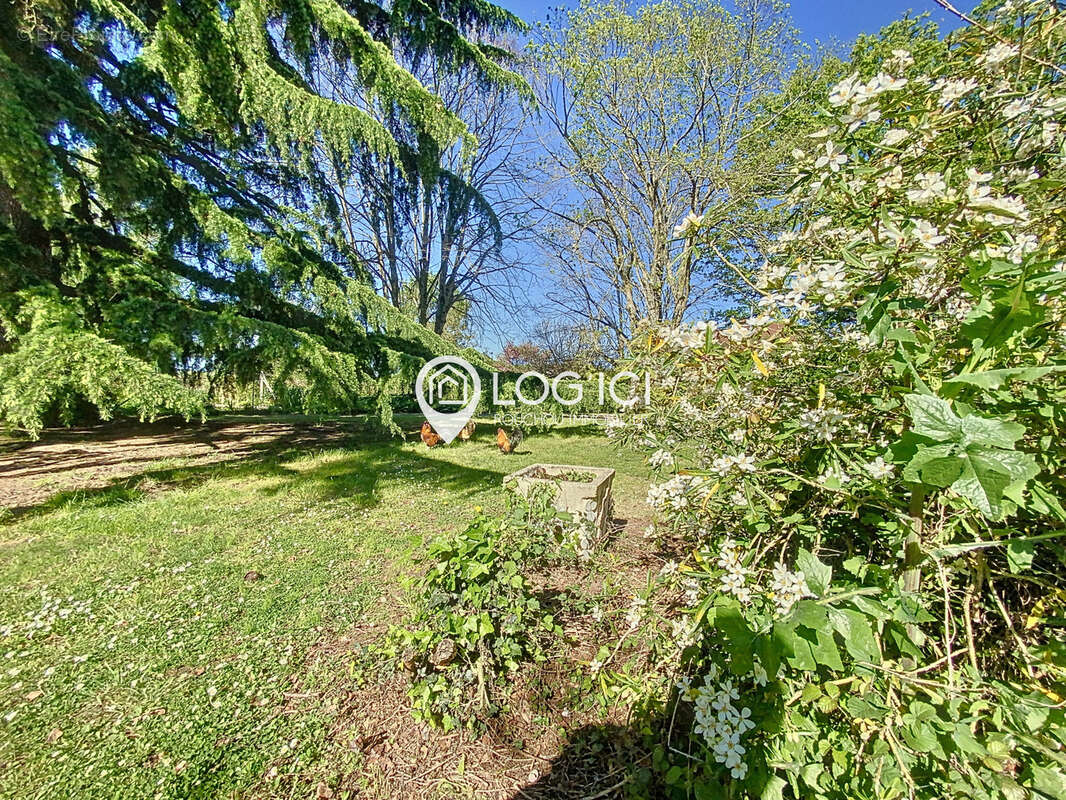 Commerce à SEVIGNACQ