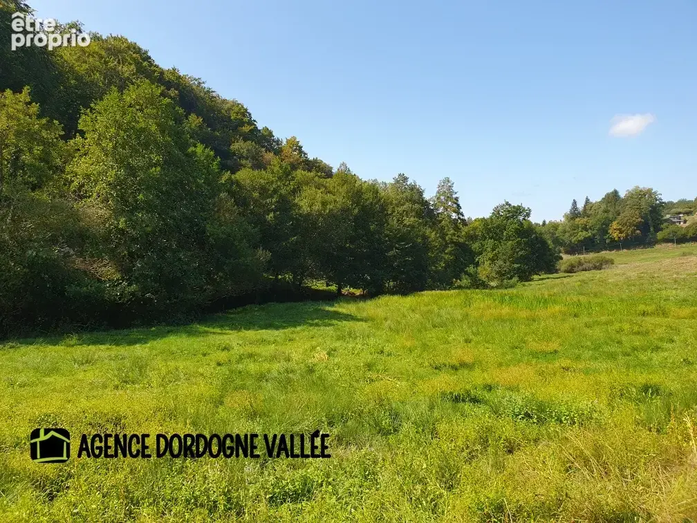 Maison de village en pierres avec terrain attenant de 2,5 ha, ruisseau, source et puits. - photo 18