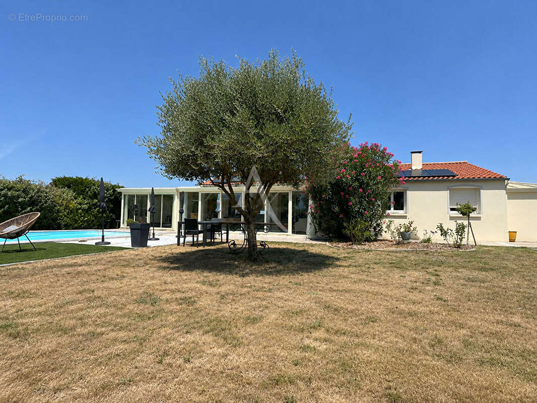 Maison clé en main avec piscine, véranda spa et dépendances - photo 4