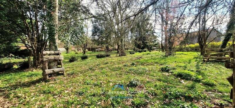 Terrain à SAINT-AGNE
