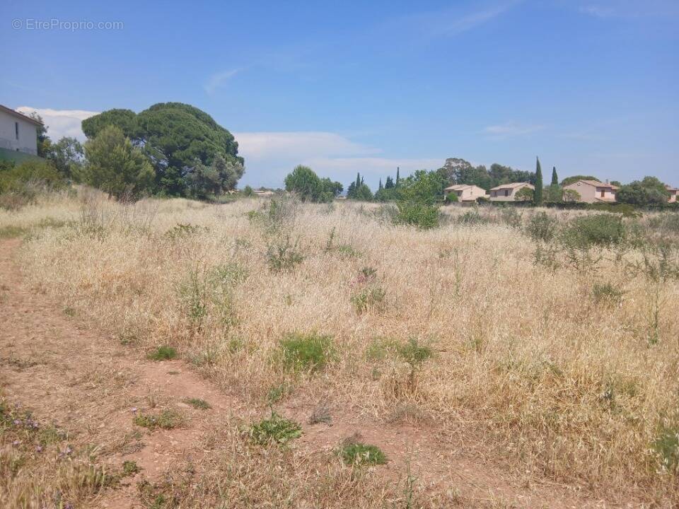 Terrain à CUERS