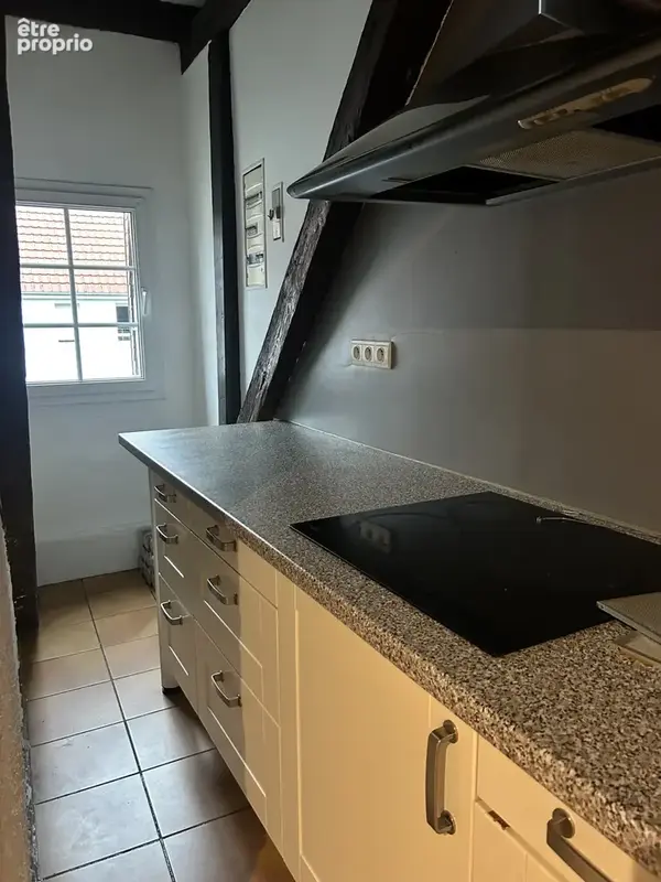 F2 duplex centre ville - photo 12