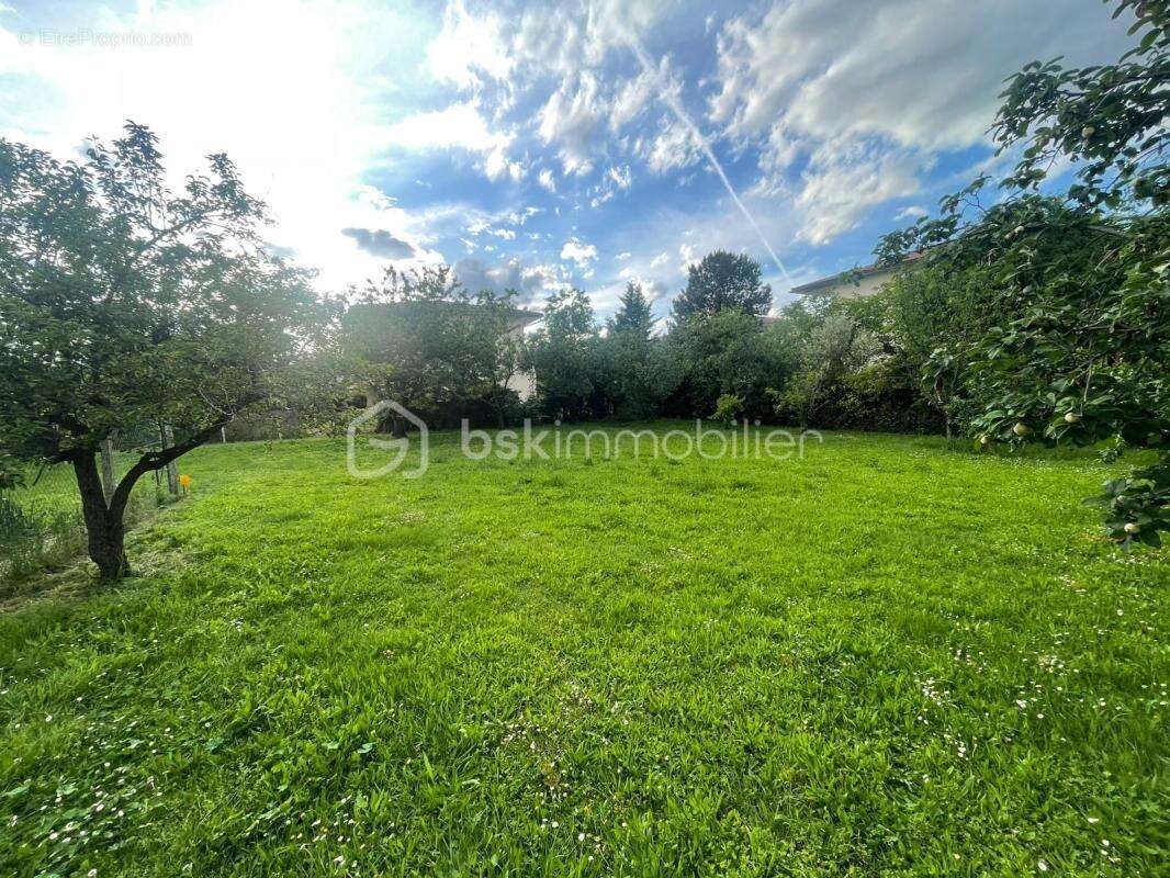 Terrain à vendre  887 m² à Blagnac - photo 10