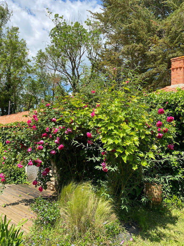 Maison à SALLERTAINE