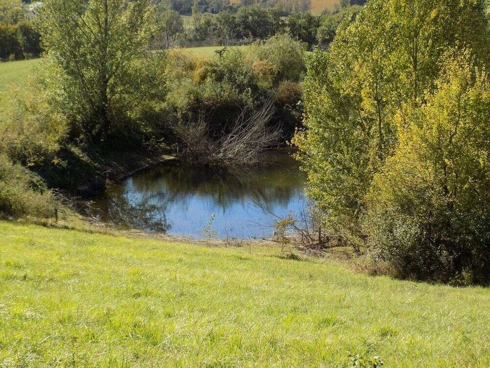 Gasconne - Vue Pyrénnes - Centre Miramont d'Astarac - photo 7