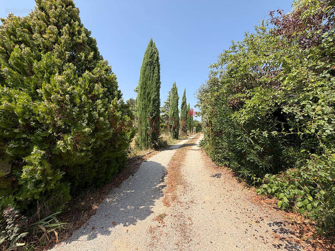A vendre maison  avec terrain de 5000m²  (26120) - photo 18