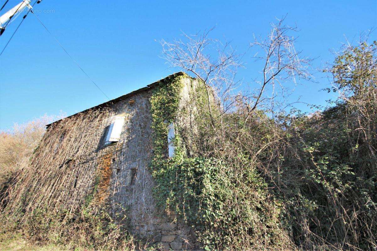 Commerce à RIEUPEYROUX