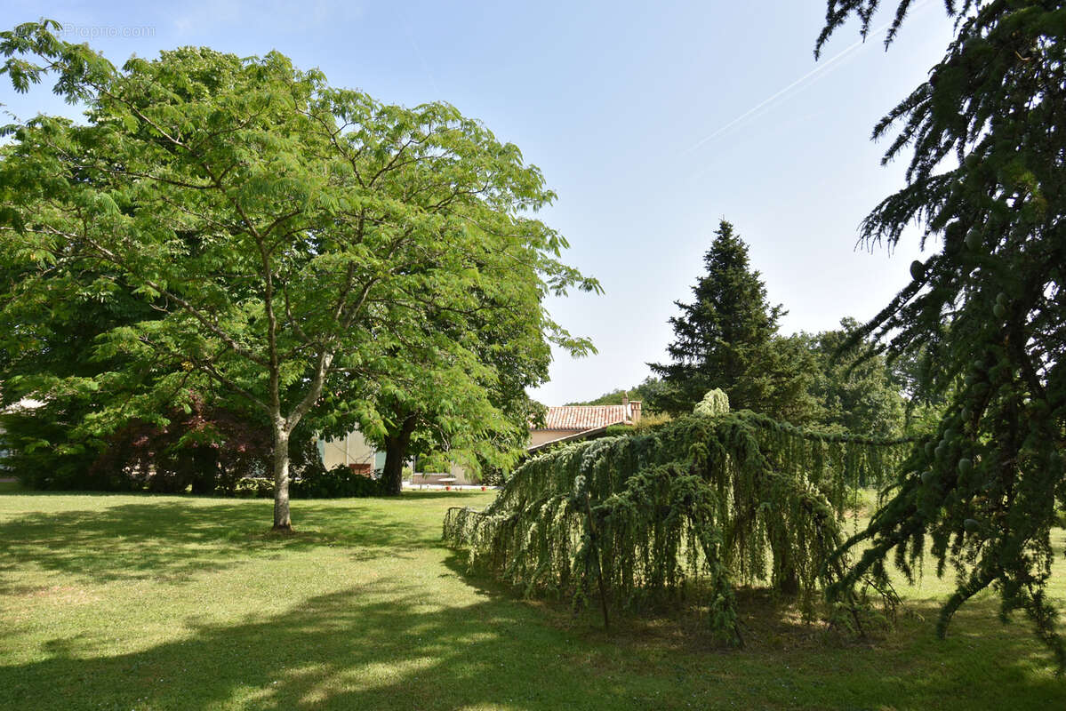Propriété avec vue exceptionnelle, deux gites et piscine. - photo 26